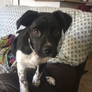 Meet your Posher, Jessica